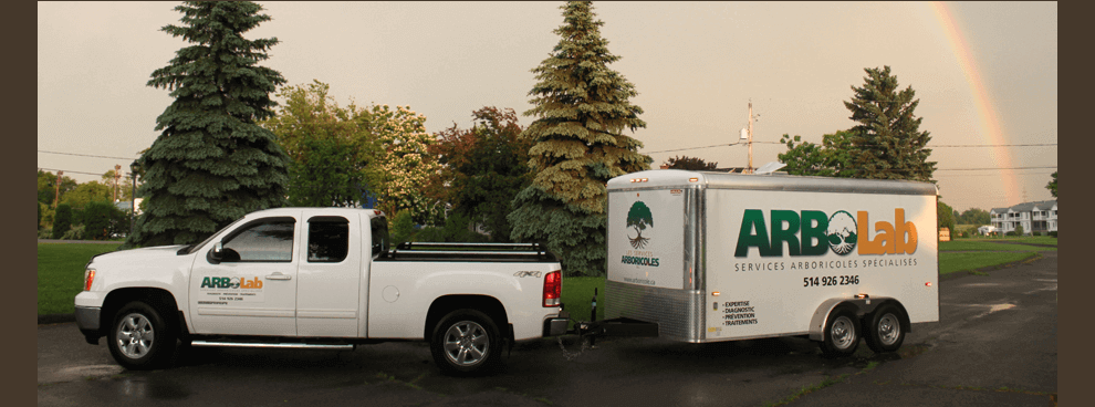 Arboriste au service des arbres mobile